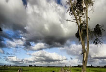 天涯社区娱乐圈八卦大爆料